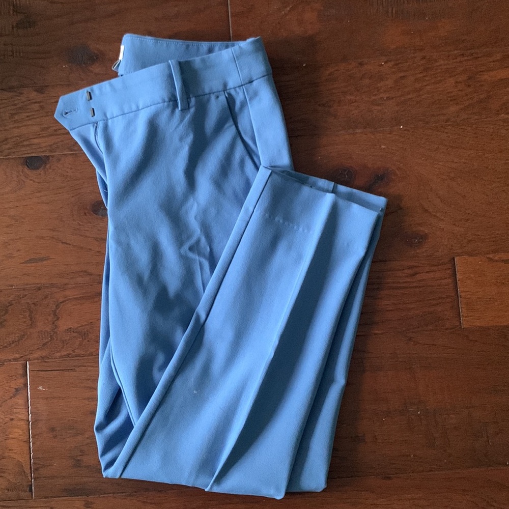 Powder Blue J Crew Pant